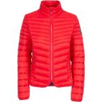 Rote Gesteppte Trespass Mini Stehkragen Kurzjacken & Cropped-Jackets mit Reißverschluss für Damen Größe XXL 
