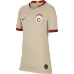 Braune Nike Galatasaray Galatasaray Istanbul Trikots für Kinder zum Fußballspielen 2019/20 