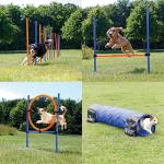Reduziertes Blaues Trixie Dog activity Agility-Artikel aus Kunststoff 4-teilig 