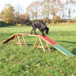 Reduziertes Trixie Dog activity Agility-Artikel aus Holz 