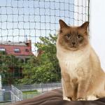 Trixie Katzennetze & Balkonnetze 