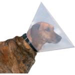 Trixie Halskrause für Hunde aus Kunststoff 