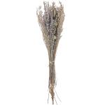 Reduzierte Lavendelfarbene Boho Beliani Trockenblumensträuße aus Papier 