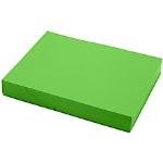 Grünes farbiges Papier DIN A4, 220g, 100 Blatt aus Papier 
