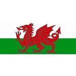 Wales Flaggen & Wales Fahnen 