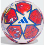 UCL Training 23/24 Knock-out Ball