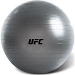 UFC FITBALL Gymnastikball 55cm Silber