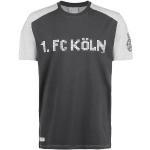 1. FC Köln Pixels T-Shirt Herren