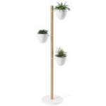 Grüne Moderne Umbra Runde Blumenständer aus Holz Breite 100-150cm, Höhe 100-150cm, Tiefe 0-50cm 