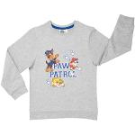 Graue United Labels PAW Patrol Bio Kinderhoodies & Kapuzenpullover für Kinder aus Baumwolle für Jungen Größe 98 