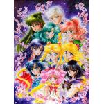 Sailor Moon Poster matt aus Papier 
