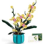 2024 Künstliche online Günstig Orchideen Trends kaufen | | Gelbe