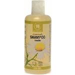 Urtekram Naturkosmetik Bio Shampoos 250 ml mit Rosmarin blondes Haar 