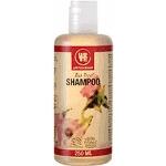 Urtekram Naturkosmetik Shampoos 250 ml mit Rosmarin für  feines Haar blondes Haar 
