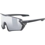 Graue Uvex Sportstyle Sportbrillen & Sport-Sonnenbrillen aus Kunststoff für Herren 