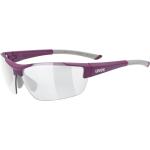 Violette Sportbrillen & Sport-Sonnenbrillen für Herren 