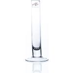Vase Glas Blumenvase Reagenzglas Glasvase -Solifleur-rund klar Ø 3 cm H 20 cm 4005632941017 (521775)