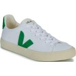 Weiße Veja Campo Nachhaltige Low Sneaker aus Canvas für Damen Größe 39 