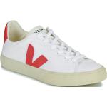 Weiße Veja Campo Nachhaltige Low Sneaker aus Canvas für Damen Größe 39 