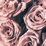 Reduzierte Pinke Shabby Chic BRICOFLOR Quadratische Blumenleinwandbilder 