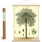 Olivgrüne Vintage Cavallini Poster mit Baummotiv 