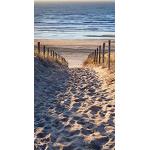 Sandfarbene Motiv Türtapeten & Türposter mit Strand-Motiv 