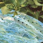 Ribelli Pflanzenvliese & Winterschutzvliese aus Kunststoff 