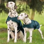 Reduzierte Tannengrüne Hundedecken aus Fleece 