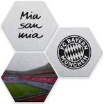 Silberne FC Bayern Bildersets 
