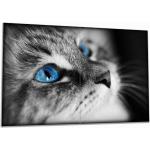 Wallario Herdabdeckplatte aus Glas, Größe 80 x 52 cm 2-teilig, Motiv Schwarz-weiß getigerte Katze mit leuchtend blauen Augen