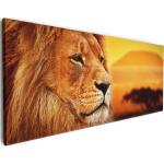 Wallario Premium Leinwandbild Prächtiger Löwe in der Savanne in Größe 60 x 150 cm