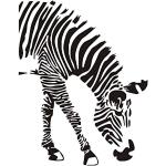 Wandtattoos Zebra mit Tiermotiv 