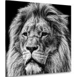 Schwarze abstrakte Bilder mit Löwen-Motiv 80x80 