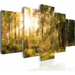 Wandbild - Magic of Forest | 200x100 cm