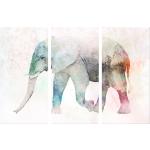 Wandbild Painted Elephant (3-teilig)