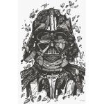 Bunte Komar Star Wars Darth Vader Bilder & Wandbilder aus Papier 