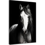 Weiße Pferde Bilder mit Tiermotiv 60x80 