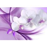 Lila Abstrakte Orchideen-Fototapeten 