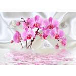 Orchideen-Fototapeten mit Insekten-Motiv 