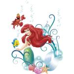 Komar Arielle Arielle die Meerjungfrau Arielle Wandtattoos & Wandaufkleber 