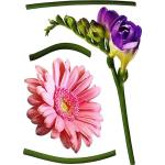 Rosa Wandtattoos & Wandaufkleber mit Blumenmotiv 5-teilig 