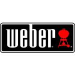 Weber Grifflicht Q 3200 (65625)