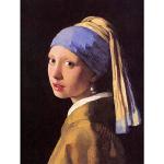 Wee Blue Coo Johannes Vermeer Poster strukturiert aus Papier 12x16 