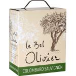 Trockene Französische Colombard Weißweine 3,0 l Saint-Chinian, Languedoc-Roussillon 