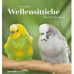 Postkartenkalender mit Papageienmotiv aus Papier 