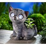Weltbild Katze Übertöpfe 13 cm Outdoor 
