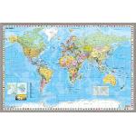 Bunte Weltkarten mit Weltkartenmotiv 