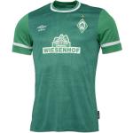 Grüne Werder Bremen Sportartikel für Herren - Heim 2021/22 