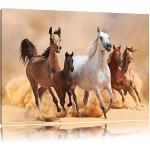 Weiße Western Pixxprint Pferde Bilder mit Tiermotiv aus Kiefer 70x100 