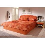 Westfalia Schlafkomfort Polsterbett, inkl. Bettkasten bei Ausführung mit Matratze, orange, ohne Matratze, terrakotta